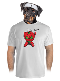 pánské sportovní tričko