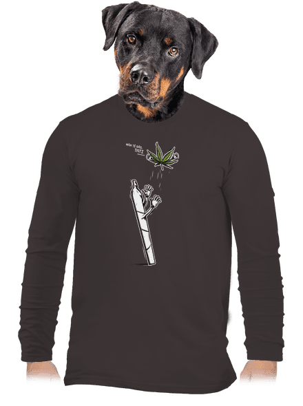 Joint a syn pánské dlouhý rukáv Bear Brown