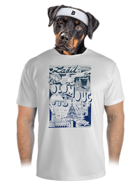 pánské sportovní tričko