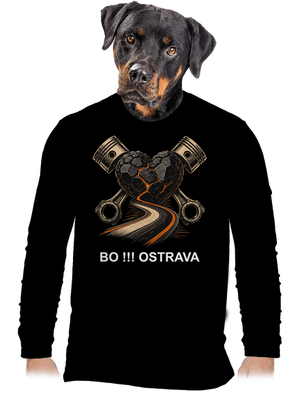 pánské dlouhý rukáv