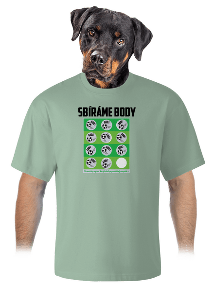 Sbíráme body - fotbal unisex tričko oversized Sage