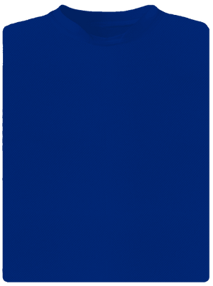 Bez potisku pánské sportovní tričko Royal Blue Mal