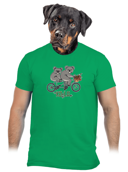 Koalo pánské tričko Kelly Green