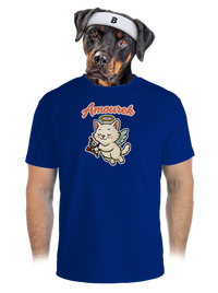 pánské sportovní tričko