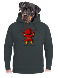 unisex mikina premium