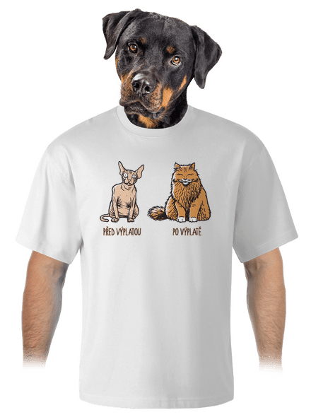 Kočka před výplatou unisex tričko oversized White