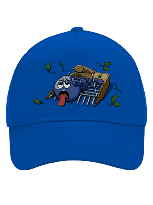 Borůvky kšiltovka baseballka Bright Royal