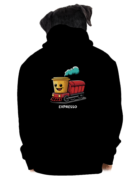 Expresso pánská mikina na zip Black