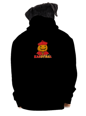 pánská mikina na zip