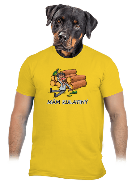 Mám kulatiny pánské tričko Gold