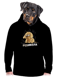 pánská mikina klokanka