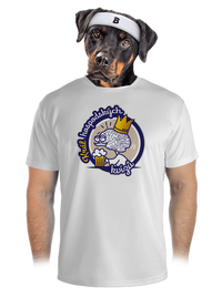 pánské sportovní tričko