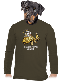 pánské dlouhý rukáv