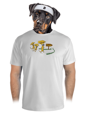 Běží lišky k Táboru pánské sportovní tričko White