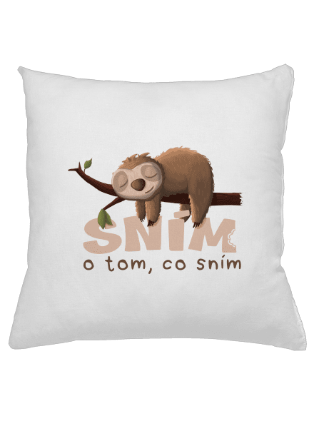 Sním o tom, co sním polštář White