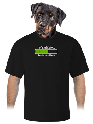 Přemýšlím unisex tričko oversized Black