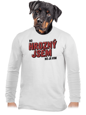 pánské dlouhý rukáv