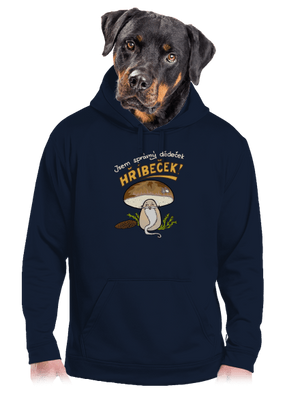 Babka a hříbeček pánská mikina klokanka Navy