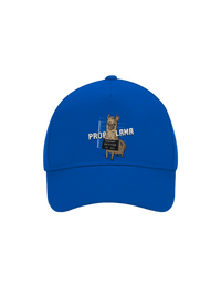 kšiltovka baseballka