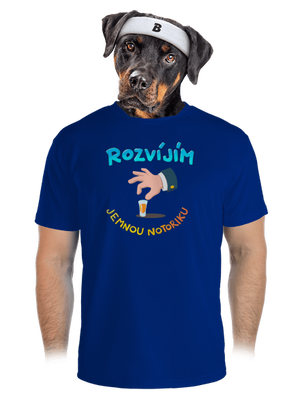 pánské sportovní tričko