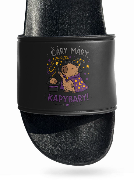 Čáry máry kapybary pantofle Black