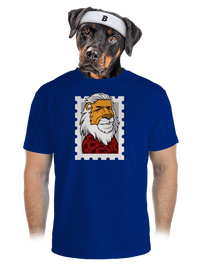 pánské sportovní tričko