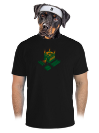 pánské sportovní tričko