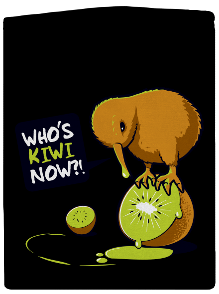 Kiwi dámská mikina na zip Black