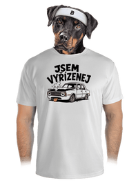 pánské sportovní tričko
