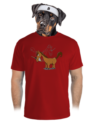 pánské sportovní tričko