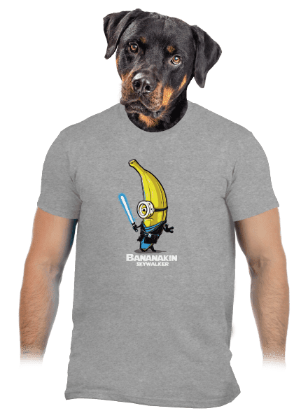 Bananakin Skywalker pánské tričko Sport Grey