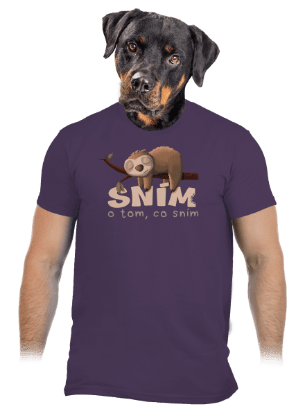 Sním o tom, co sním pánské tričko Urban Purple