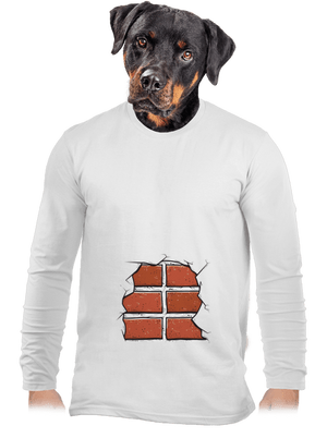 pánské dlouhý rukáv