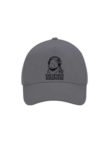 Chlupatej introvert kšiltovka baseballka Graphite grey