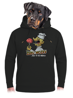 unisex mikina premium