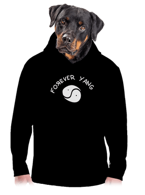 pánská mikina klokanka