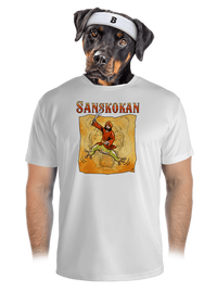 pánské sportovní tričko