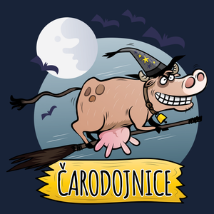 Čarodojnice