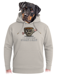 unisex mikina premium