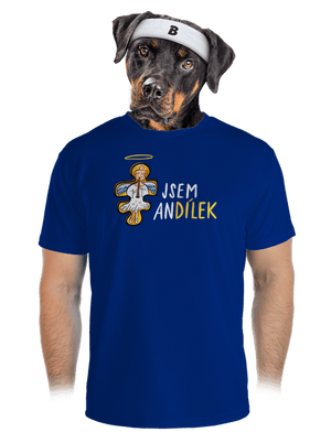 pánské sportovní tričko