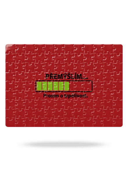 Přemýšlím puzzle White