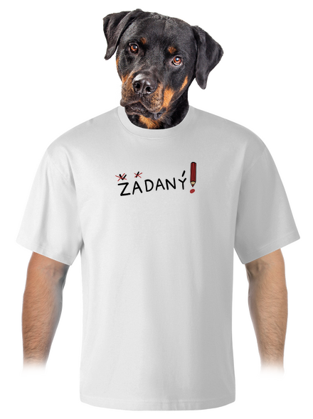 Zadaný a zadaná unisex tričko oversized White