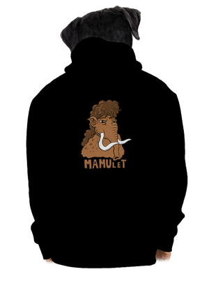 pánská mikina na zip