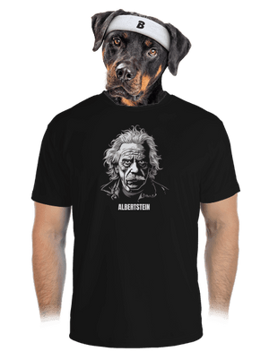 Albertstein pánské sportovní tričko Black