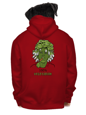 pánská mikina na zip