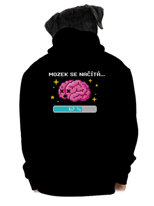 pánská mikina na zip