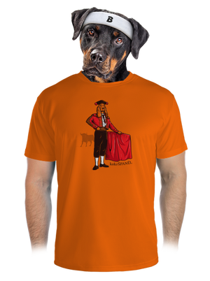 pánské sportovní tričko