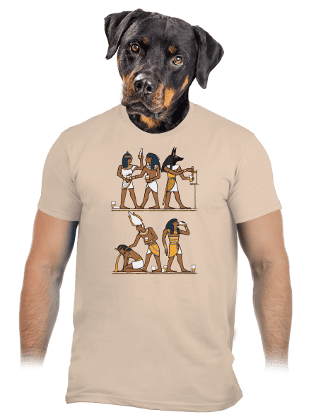 Egyptská párty pánské tričko Sand