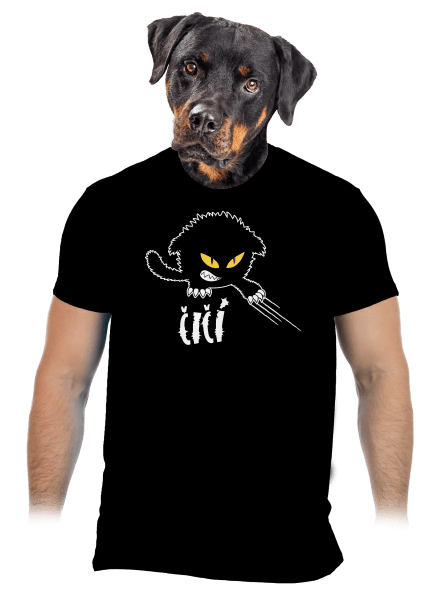 Čičina pánské tričko Black