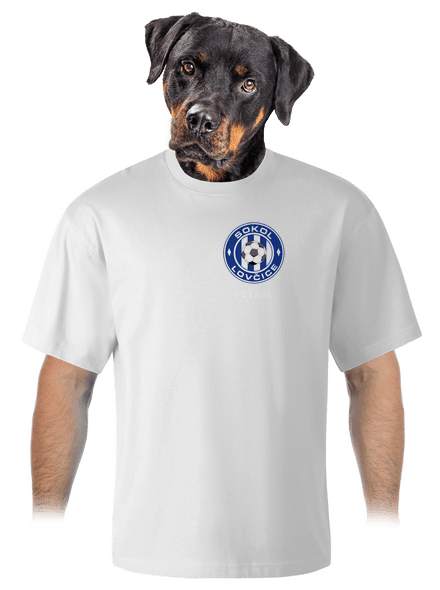 Sokol Lovčice - fotbal - barevné unisex tričko oversized White